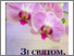 [thumbnail of Офіційна газета ДСП «Чорнобильська АЕС»]