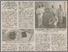 [thumbnail of Стаття в газеті]